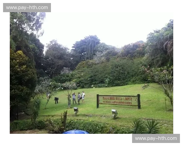 马来西亚vs泰国：东南亚双星，谁能点亮你的旅行梦？